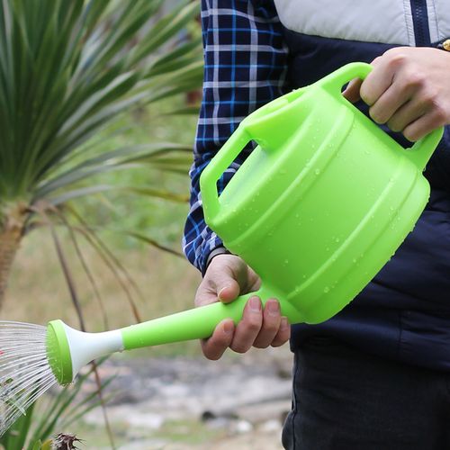 洒水壶浇花大用品可以带上飞机吗？最新规定与替代方案解析
